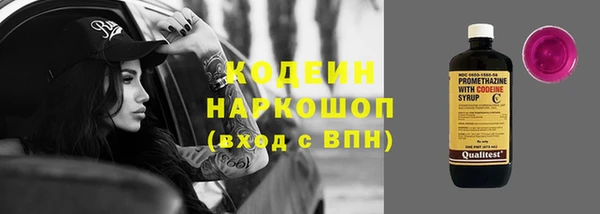 шишки Нея