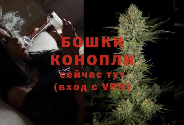 шишки Нея