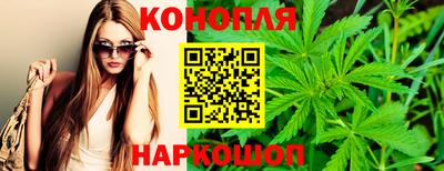 гашик Гагарин