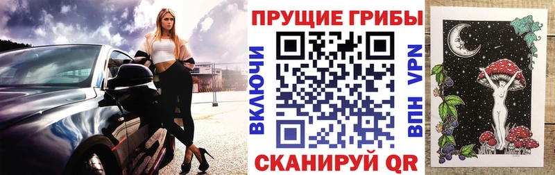 мориарти телеграм Туапсе Галлюциногенные грибы Cubensis